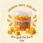 Freeze dried mango bites